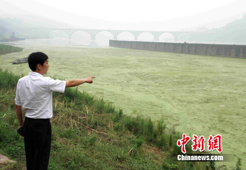 岳池县罗渡镇最新发展动态