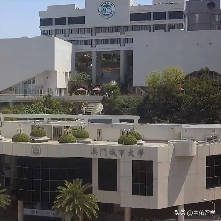 2024新澳门正版免费资本车,精准数据评估_HUG50.432媒体宣传版