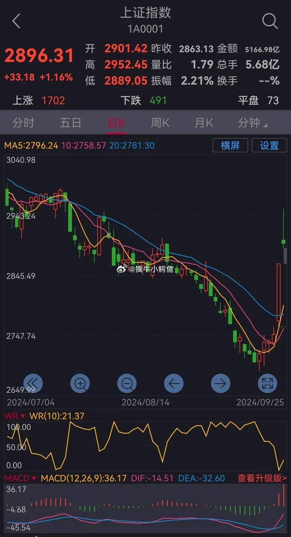 明日股市走势预测，最新大盘走势分析与详细步骤指南