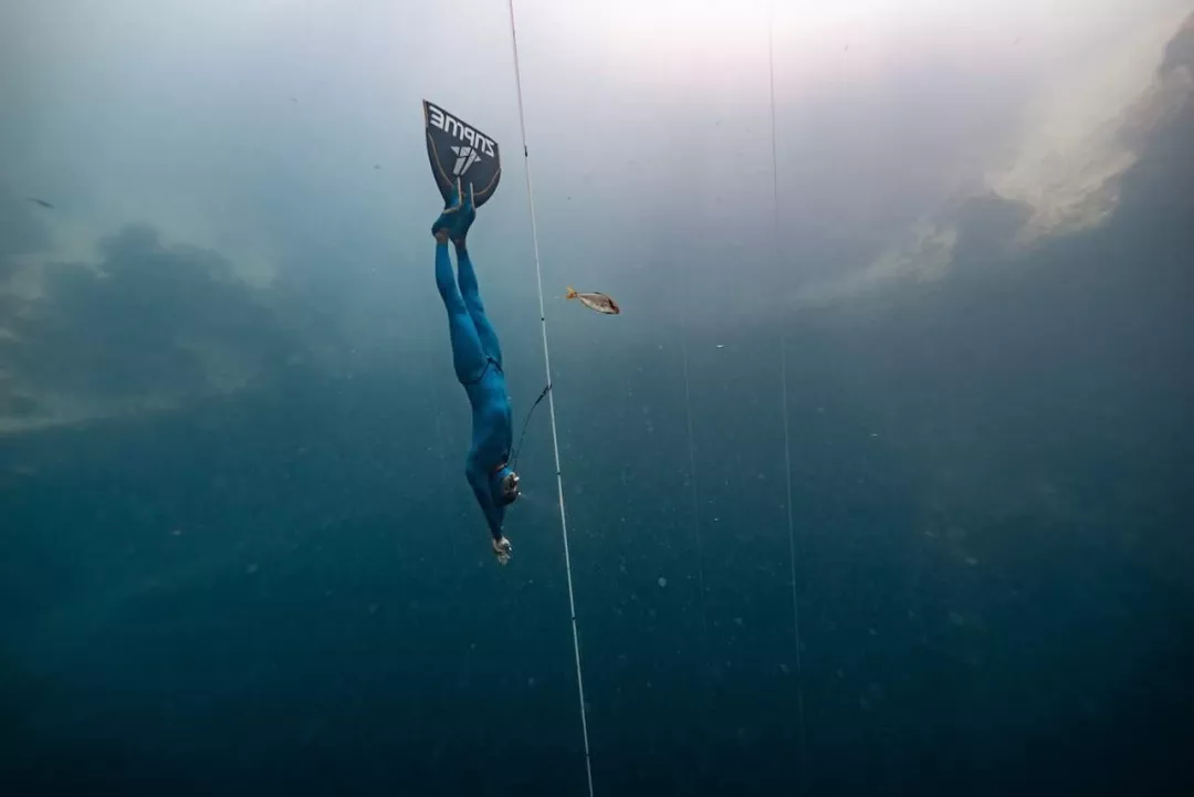 自由潜水最新世界纪录，探索自然美景的极限挑战之旅