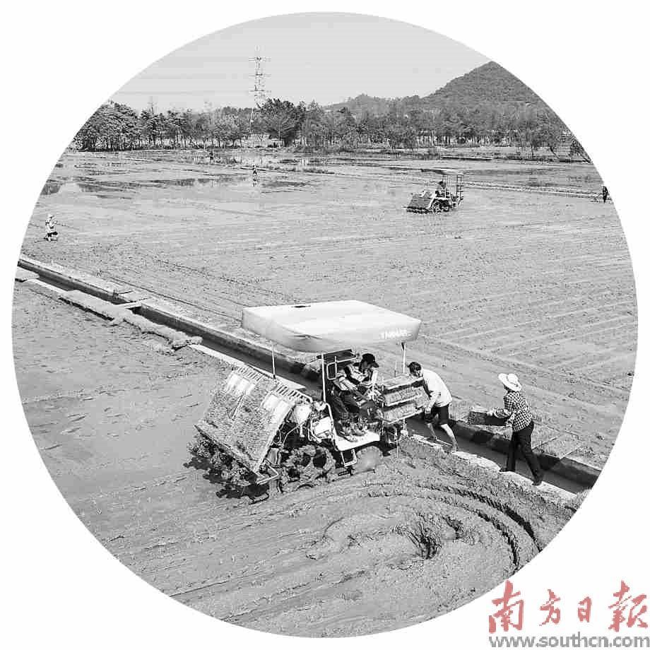 珠海代耕农最新动态,自然美景探索之旅的心灵觉醒与洗涤体验