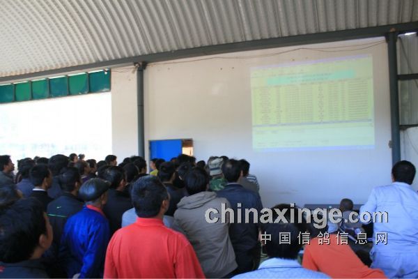 云南和平公棚最新公告及任务完成指南