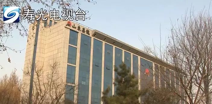 寿光墨龙最新动态及观点论述揭秘