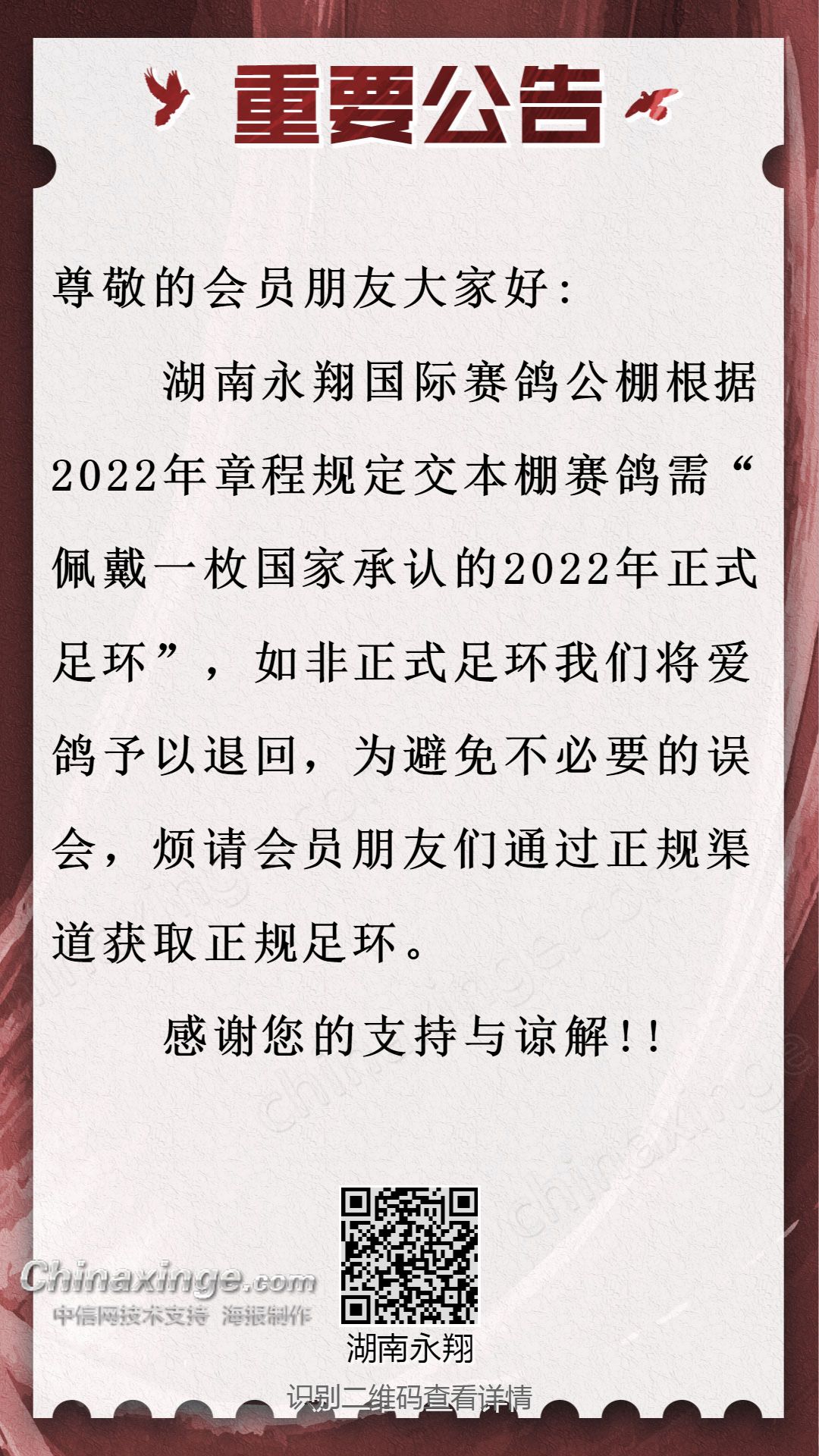 晟翔赛鸽俱乐部最新公告及观点论述揭秘