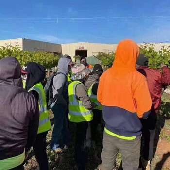 澳大利亚黑工最新动态,科技重塑未来生活体验非凡