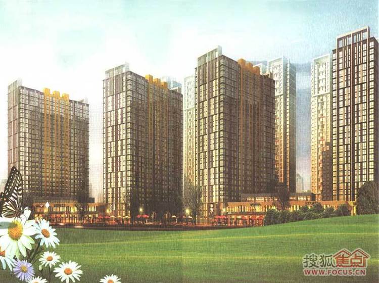 水岸新巢项目最新消息大全，获取指南与参与教程（初学者与进阶用户必看）