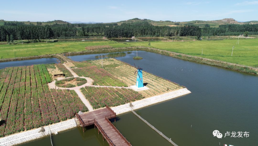 卢龙开发区最新动态,小巷深处的独特风味揭秘