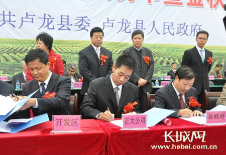 卢龙开发区最新动态,小巷深处的独特风味揭秘