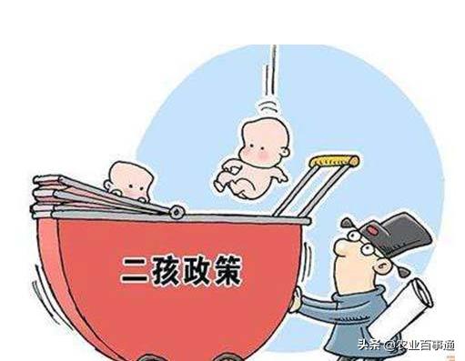 一孩化补贴最新动态与科技育儿宝盒,科技温暖家庭,一孩生活更精彩