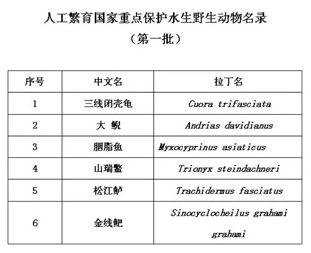 新澳开奖记录今天结果,数据科学解析说明_FIY38.818万能版