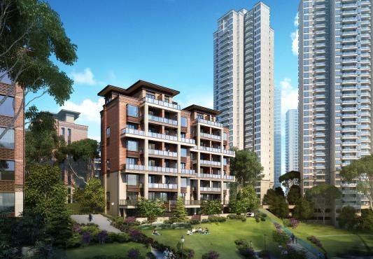 鲁能山水原著最新动态更新