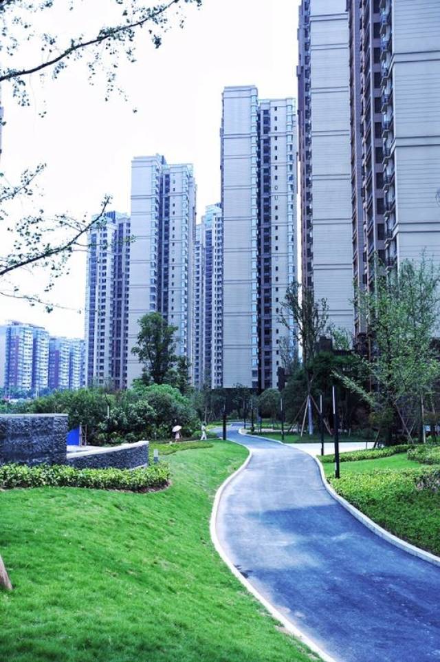 鲁能山水原著最新动态更新