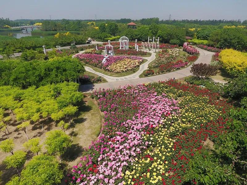 天津滨海新区最新地图解读与观点分析指南