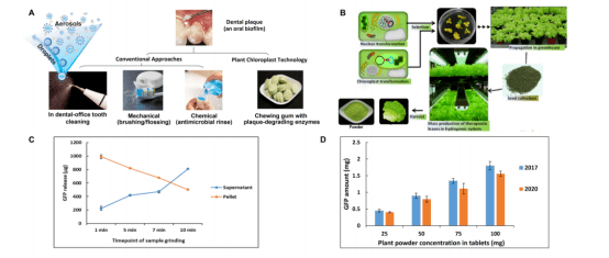 新澳2024芳草地资料大全,生物工程_RDN38.265高效版