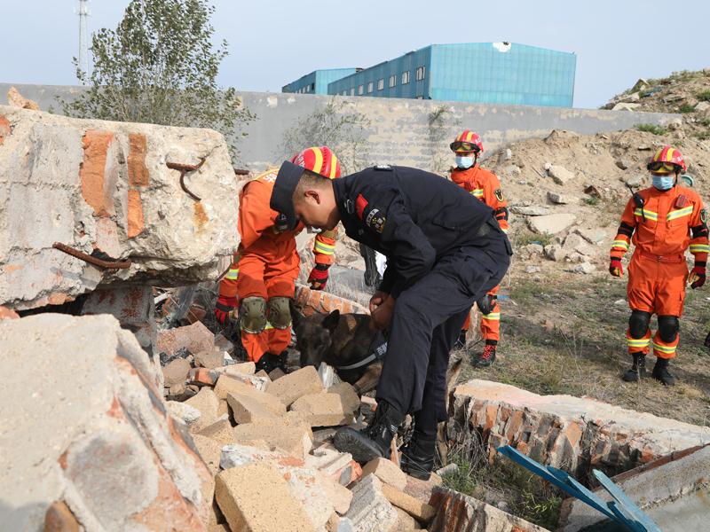 通辽地震最新消息今日更新,多方观点分析与个人立场阐述