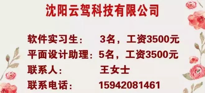 沈阳今日最新招聘信息，小巷中的工作机遇