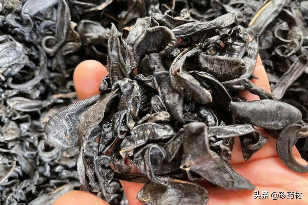 省广股份行情下的心灵探寻，自然宝藏与内心宁静之旅