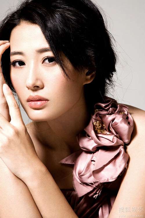 演员夏和平，演艺之路的多元魅力与深远影响分析