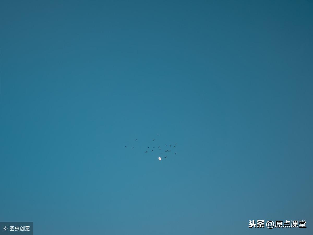 蓝阔商城资讯更新，探索自然美景，寻找内心平和之旅