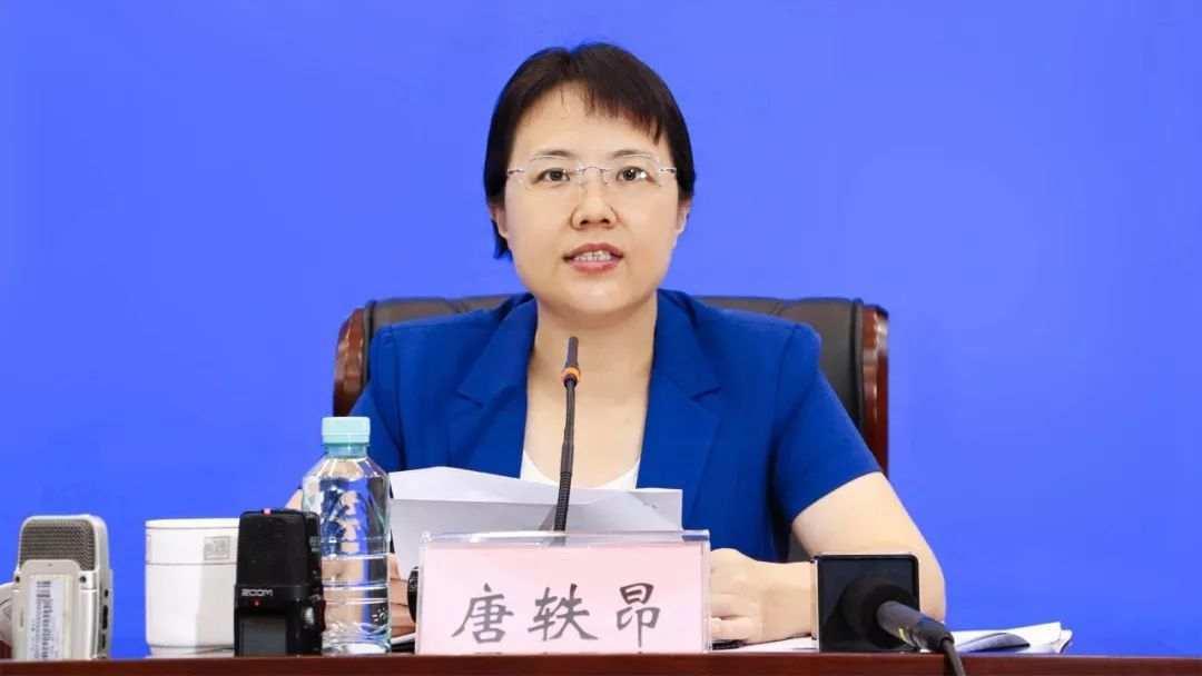 全国新闻最新动态，小巷深处的独特风情