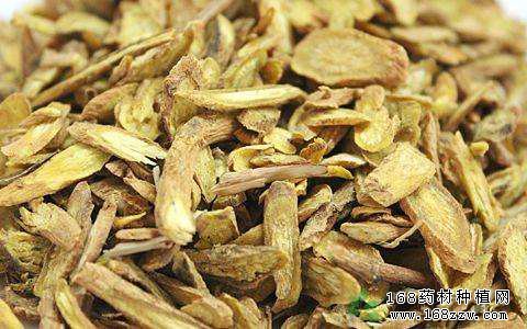 黄芩价格动态分析，小巷中的药材市场揭秘与秘密宝藏探索