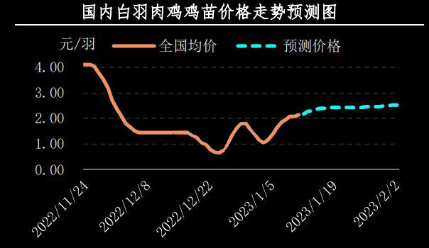 肉鸡市场深度解析，价格行情详解与把握市场动态的策略