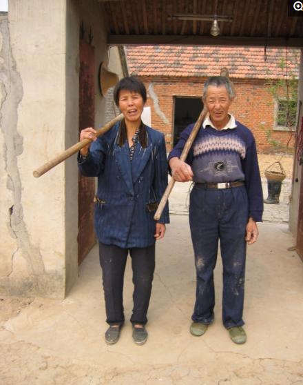 知青家庭，心灵与自然的成长之旅电视剧剧情介绍