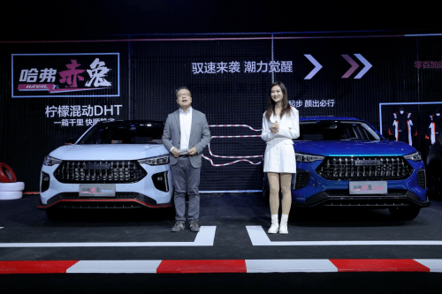 赤兔最新资讯，跃动的知识海洋，激发自信与成就感的源泉