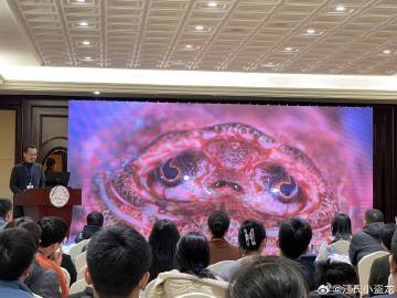 生物前沿动态,未来展望与当前观点探讨