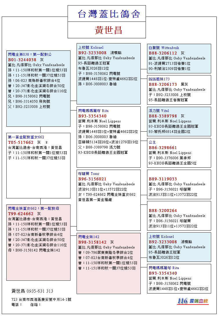最新台鸽网一口价特惠区详解与论述