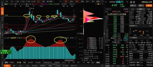 科技新星闪耀股市，高新兴股票300098深度解析
