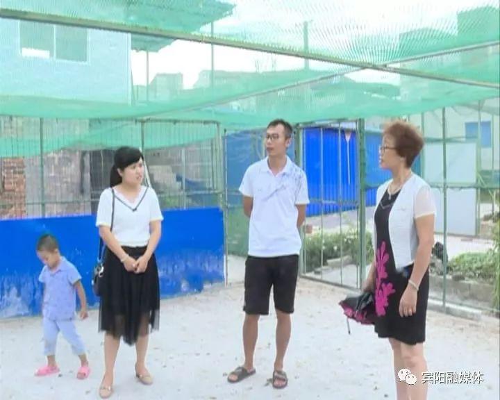 孔雀王子，自然之旅与内心的宁静演员一览表