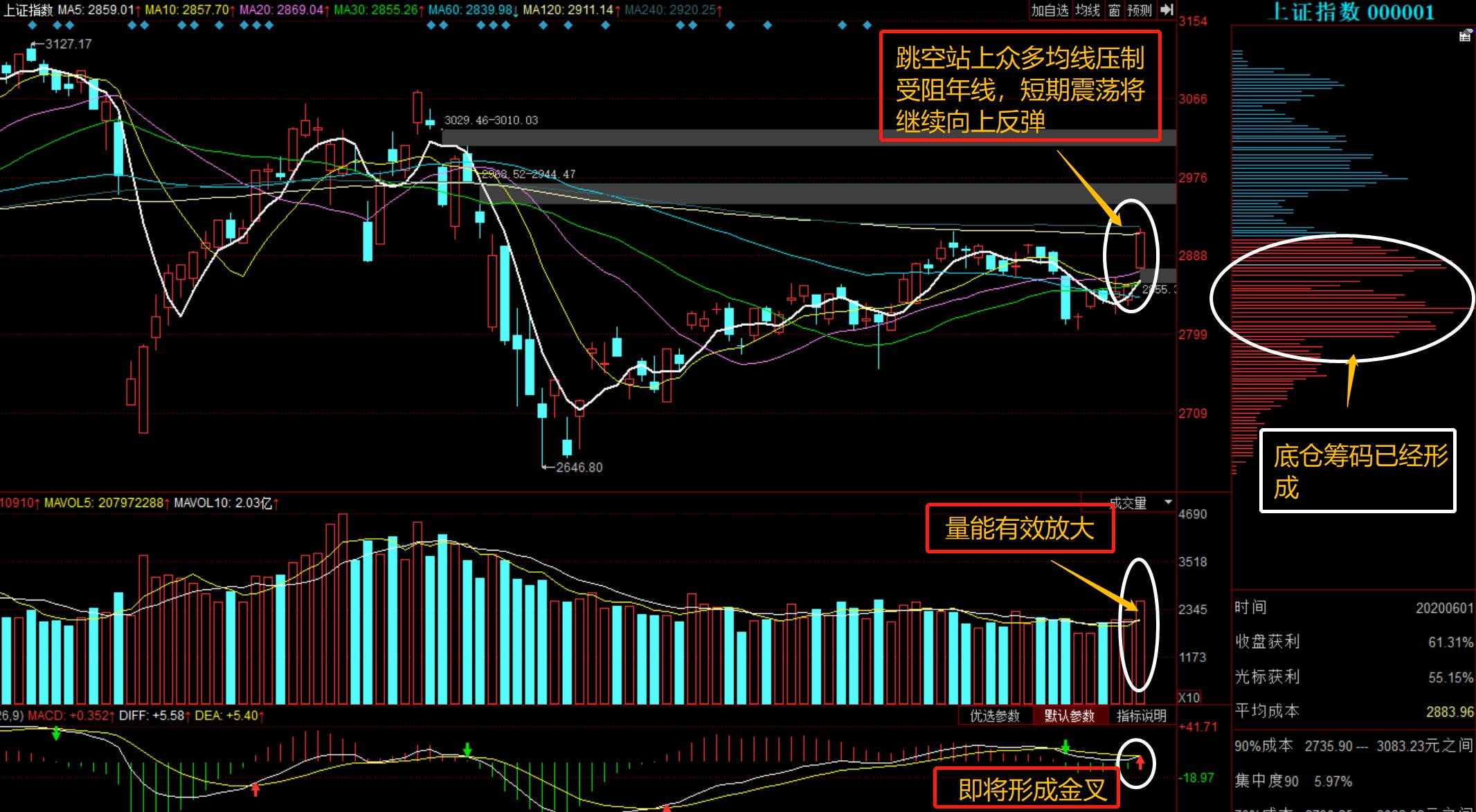 关于股票行情探讨，聚焦代码为002561的股票动态分析