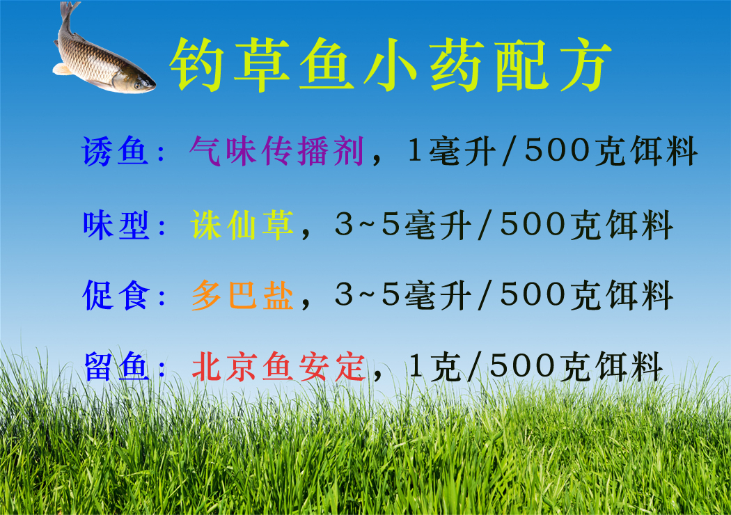 钓鱼中药秘方探索，一场寻求内心宁静的钓鱼之旅