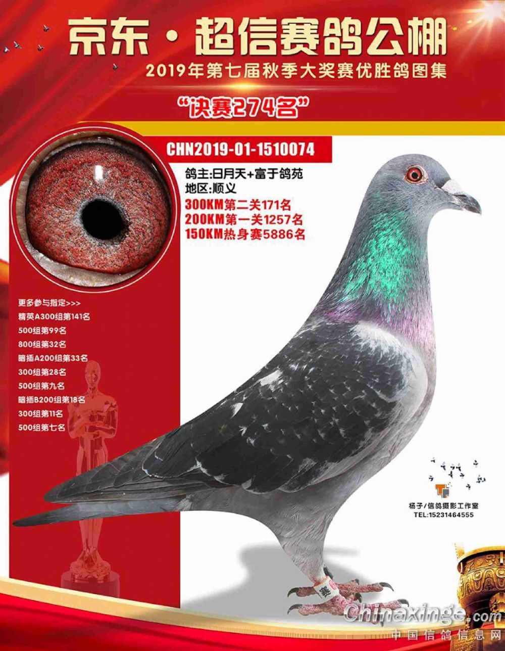 超信公棚最新动态，科技重塑生活，前沿高科技产品体验