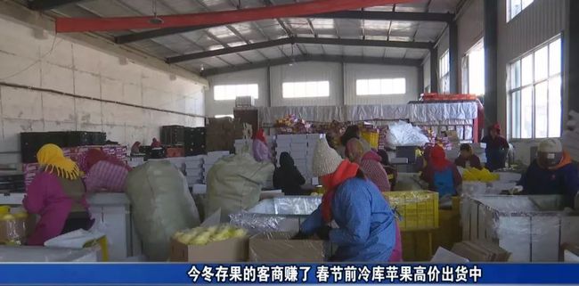冷库苹果行情深度解析，市场走势分析与影响探讨