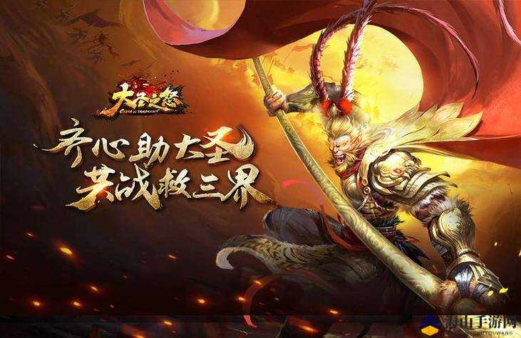 大圣电商最新动态，引领行业变革，成为先锋力量