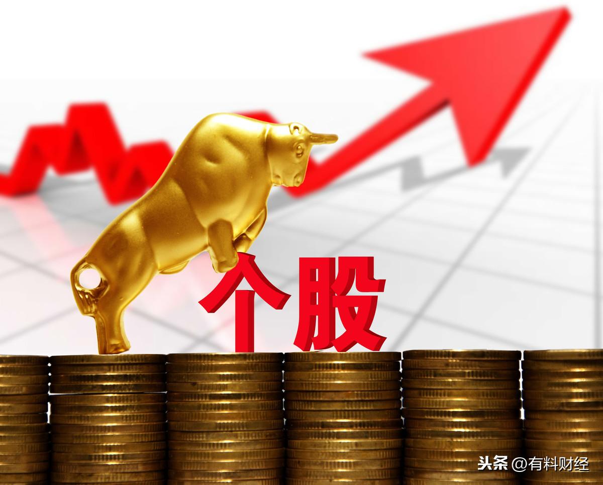 最新股市行情分析与小巷中的隐藏瑰宝揭秘