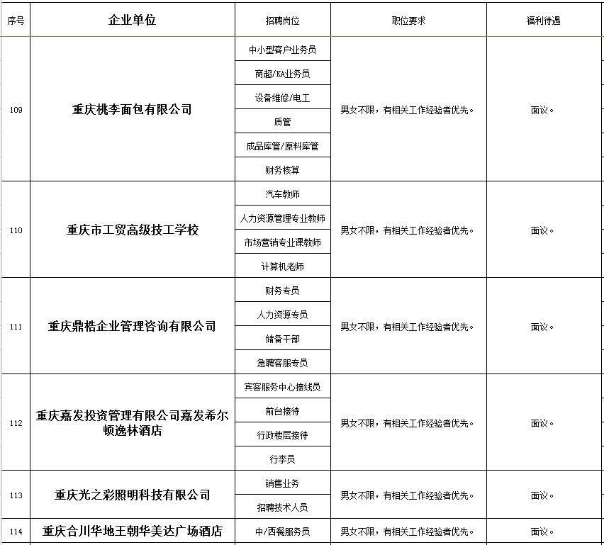 最新招聘资讯揭秘，智能时代引领未来，科技产品革新体验之旅