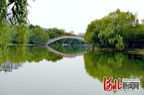 临漳凤凰城最新资讯，展翅高飞，自信翱翔的学习变革之翼