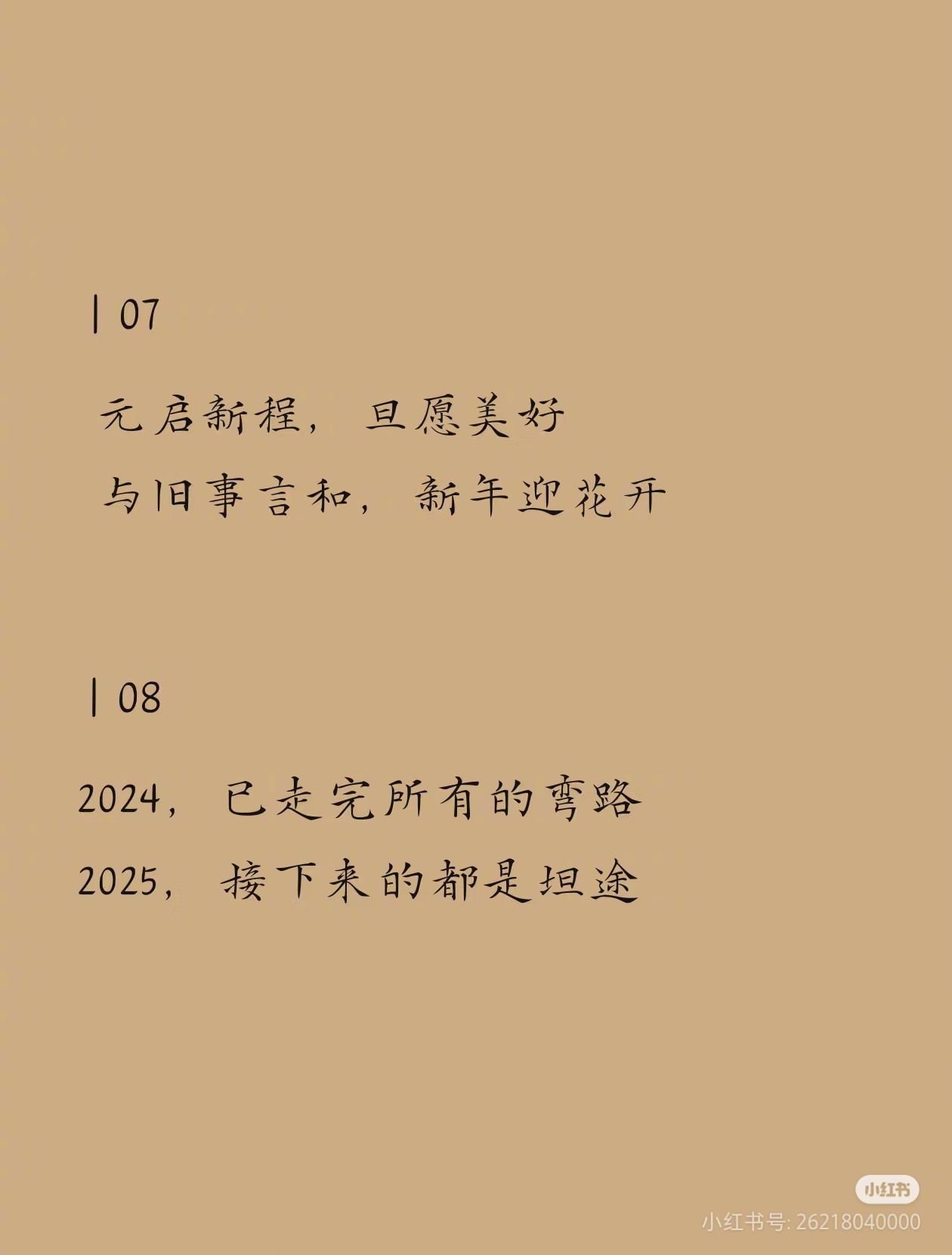 2025年度趣味语录精选荟萃