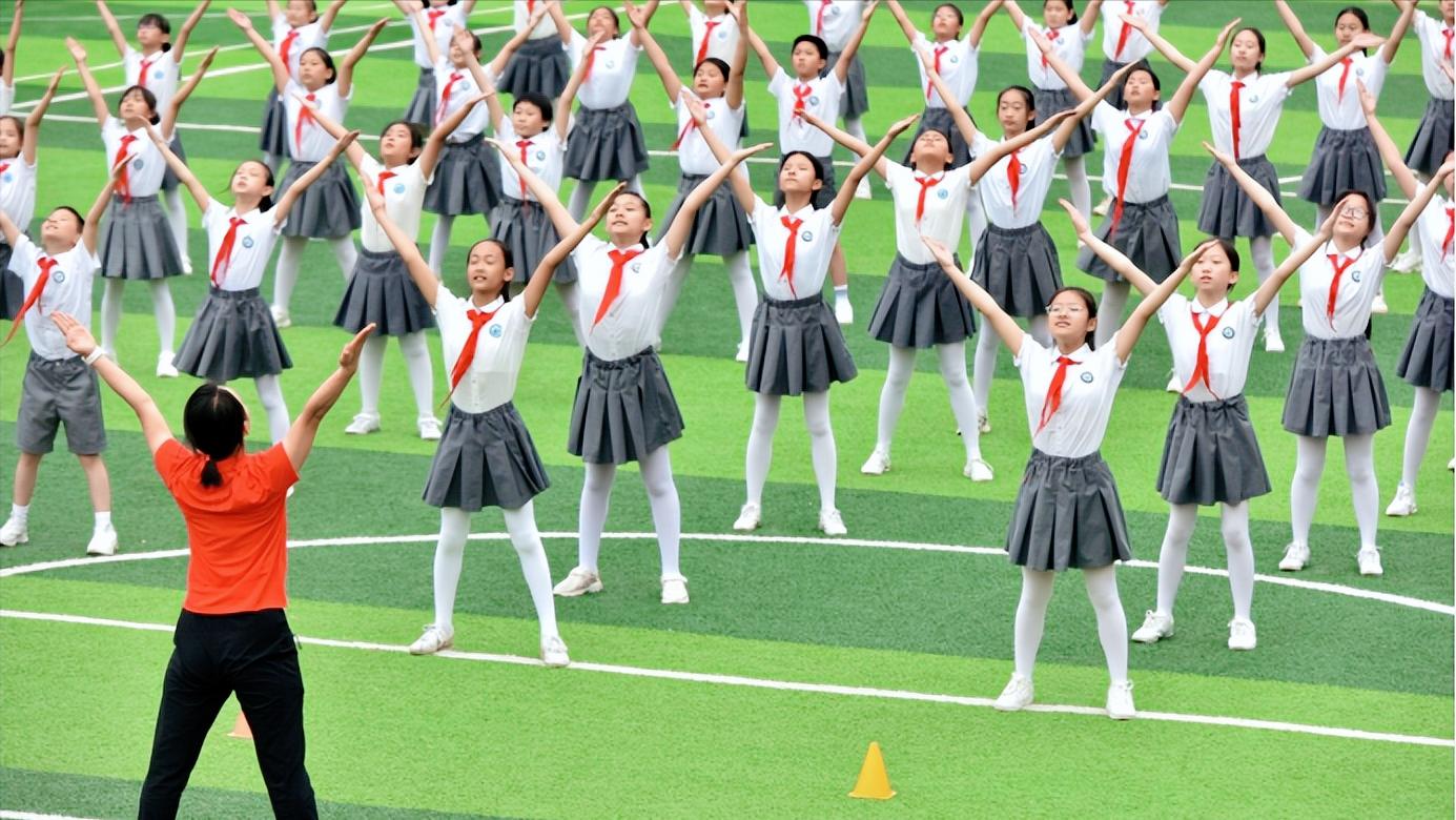 柔道比赛直播，多维度的体育观赏盛宴