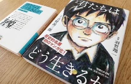 夏目漱石心动漫,深度解析与探讨