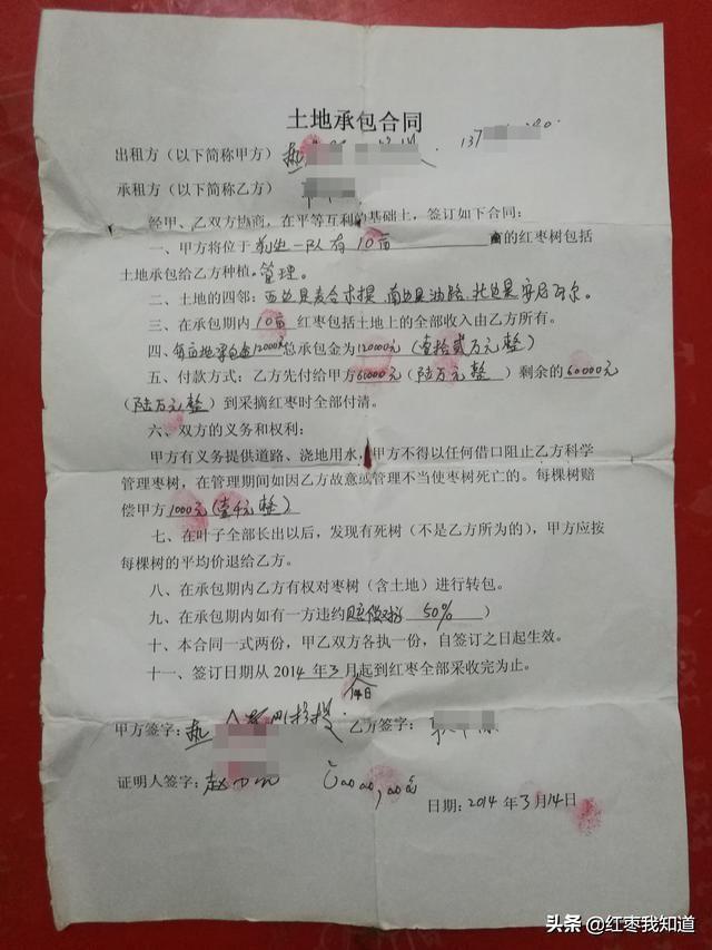 红枣上市时间解析，掌握红枣成熟与选购技巧