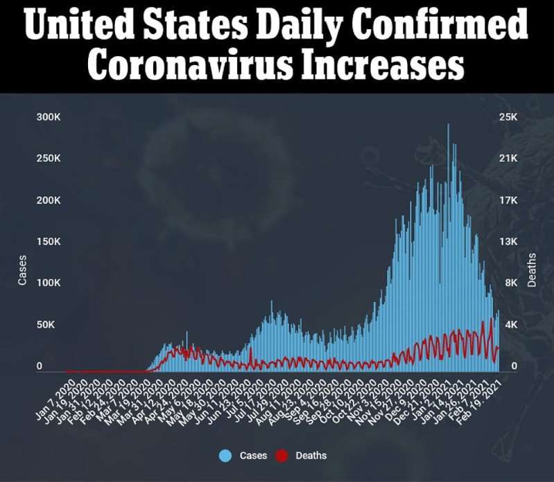 美国新增病例统计,小巷深处的观察与奇遇
