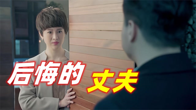 前妻求原谅,爱的回归与友情的纽带——最新章节全览