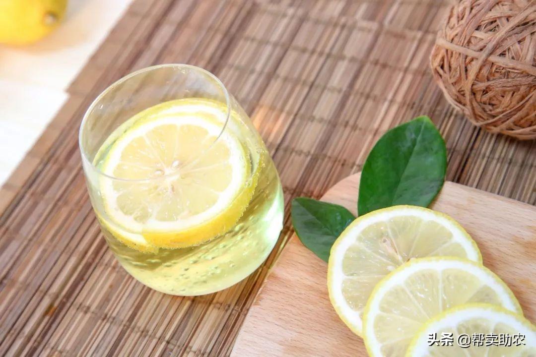 小红书推荐苏打明星闪耀之旅,你追了吗?