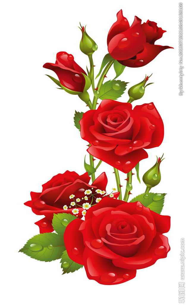 动漫玫瑰花图片及其制作指南