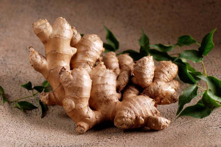 生姜最新价格信息及其市场背景影响分析