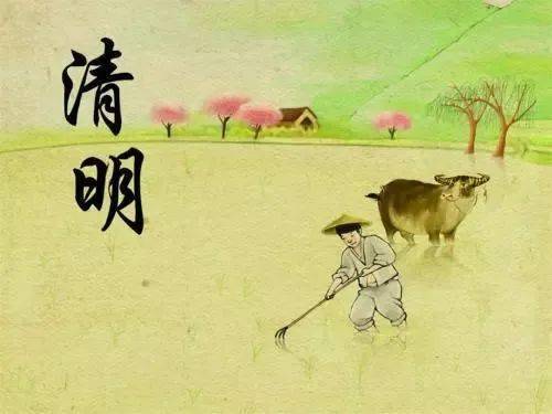 时代背景下的文化回响,最新清明诵读活动盛启